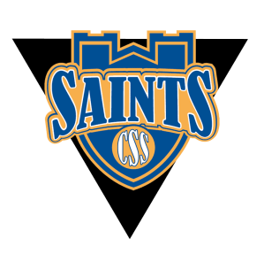 CSSlogo